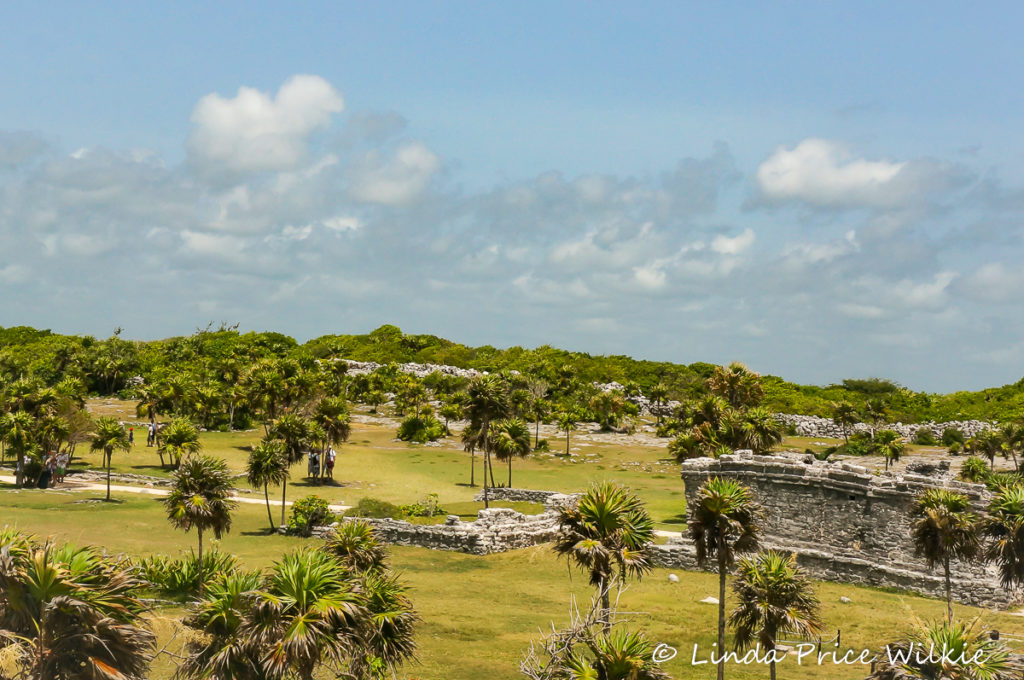 A photo showing the limestone wall enclosing the Mayan village of Tulum tracing a line in the background.