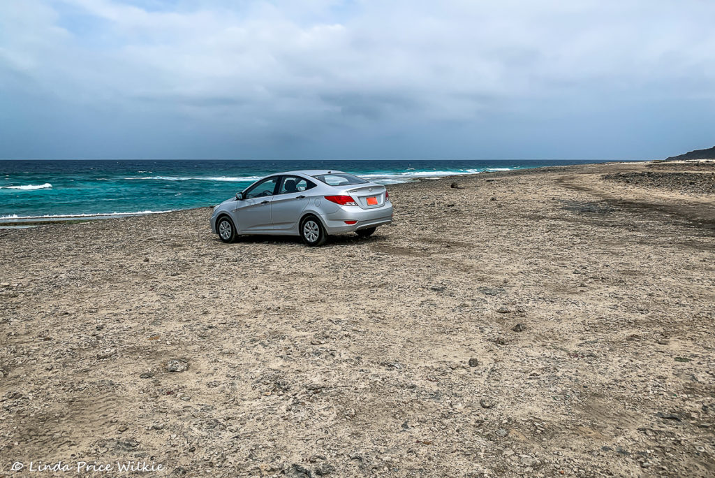 A photo of the little Hyundai Accent that drove us to adventures all over the island of Aruba.